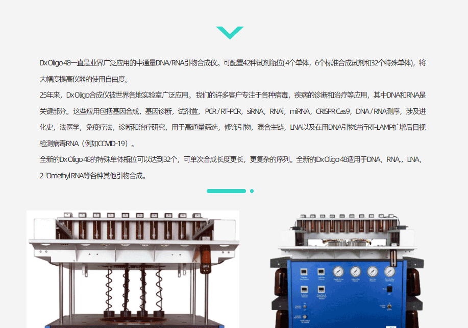 Dx Oligo 48 合成儀(圖1)